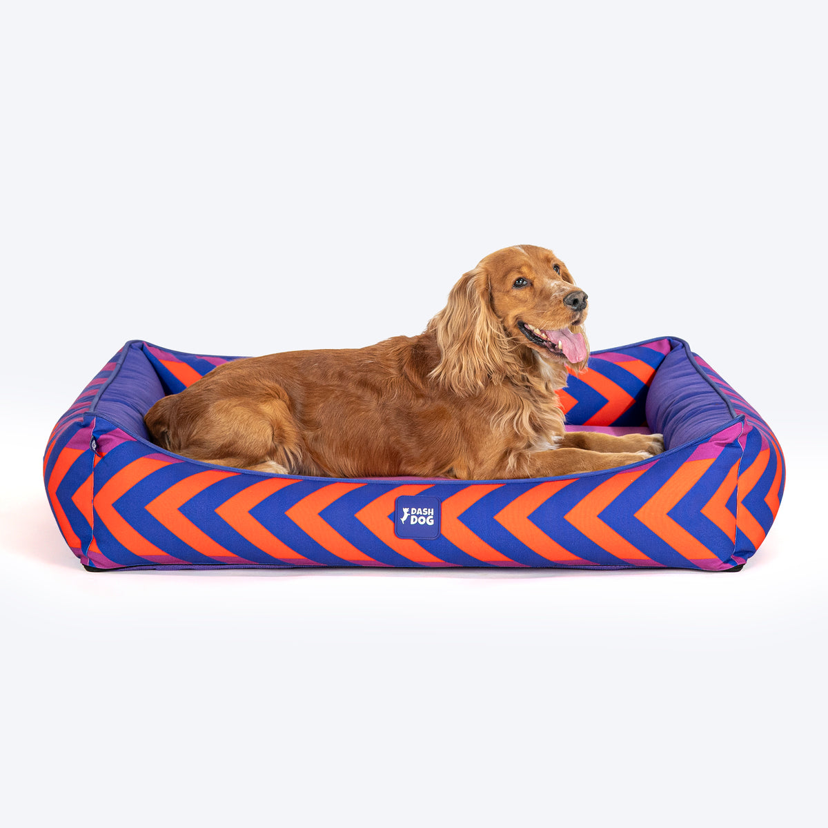 Dash Dog Chevron Water Repellent Lounger Dog Bed - Purple & Orange - Heads Up For Tails