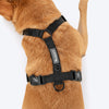 HUFT Classic H Harness For Dog - Coal Black - Heads Up For Tails