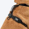 HUFT Classic H Harness For Dog - Coal Black - Heads Up For Tails
