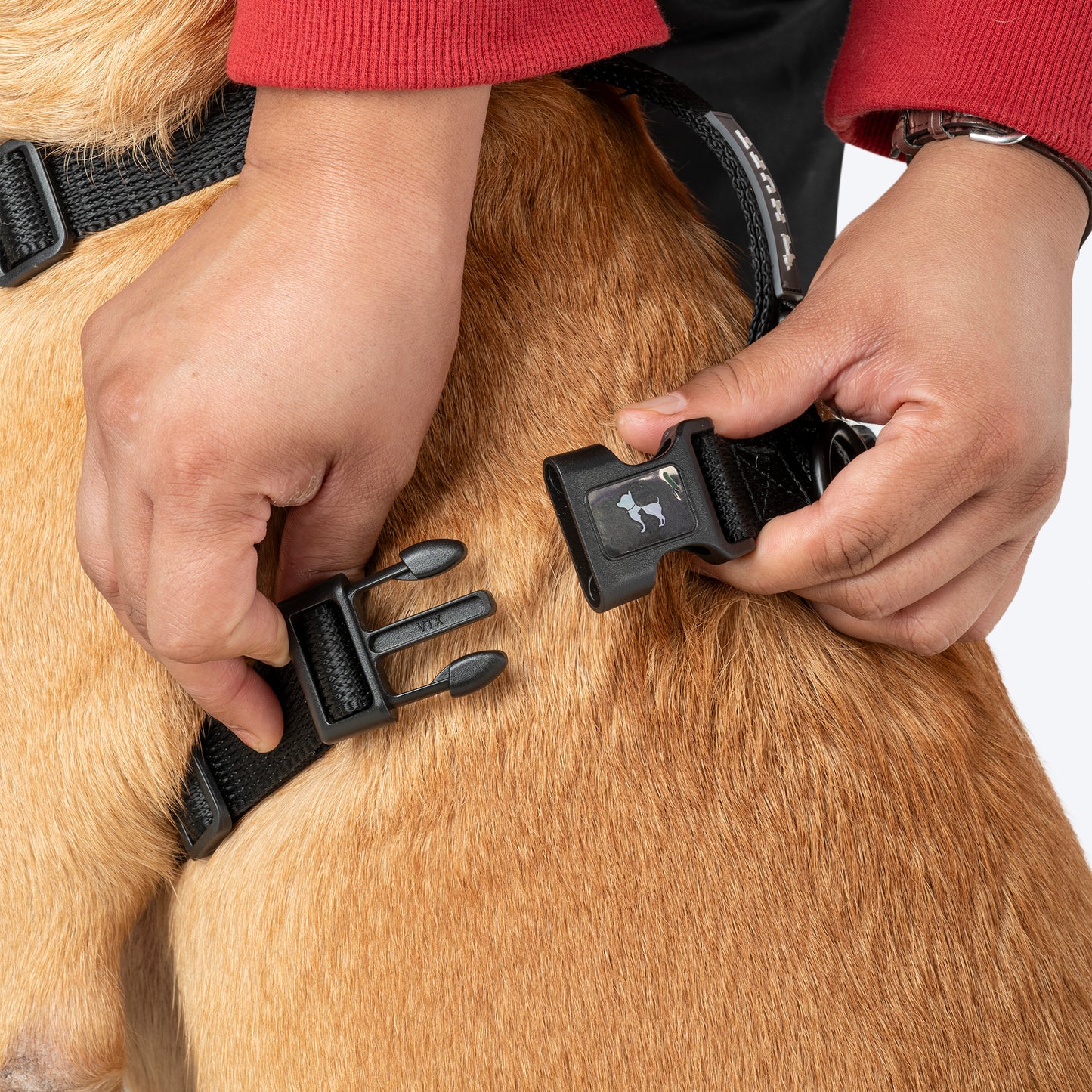 HUFT Classic H Harness For Dog - Coal Black