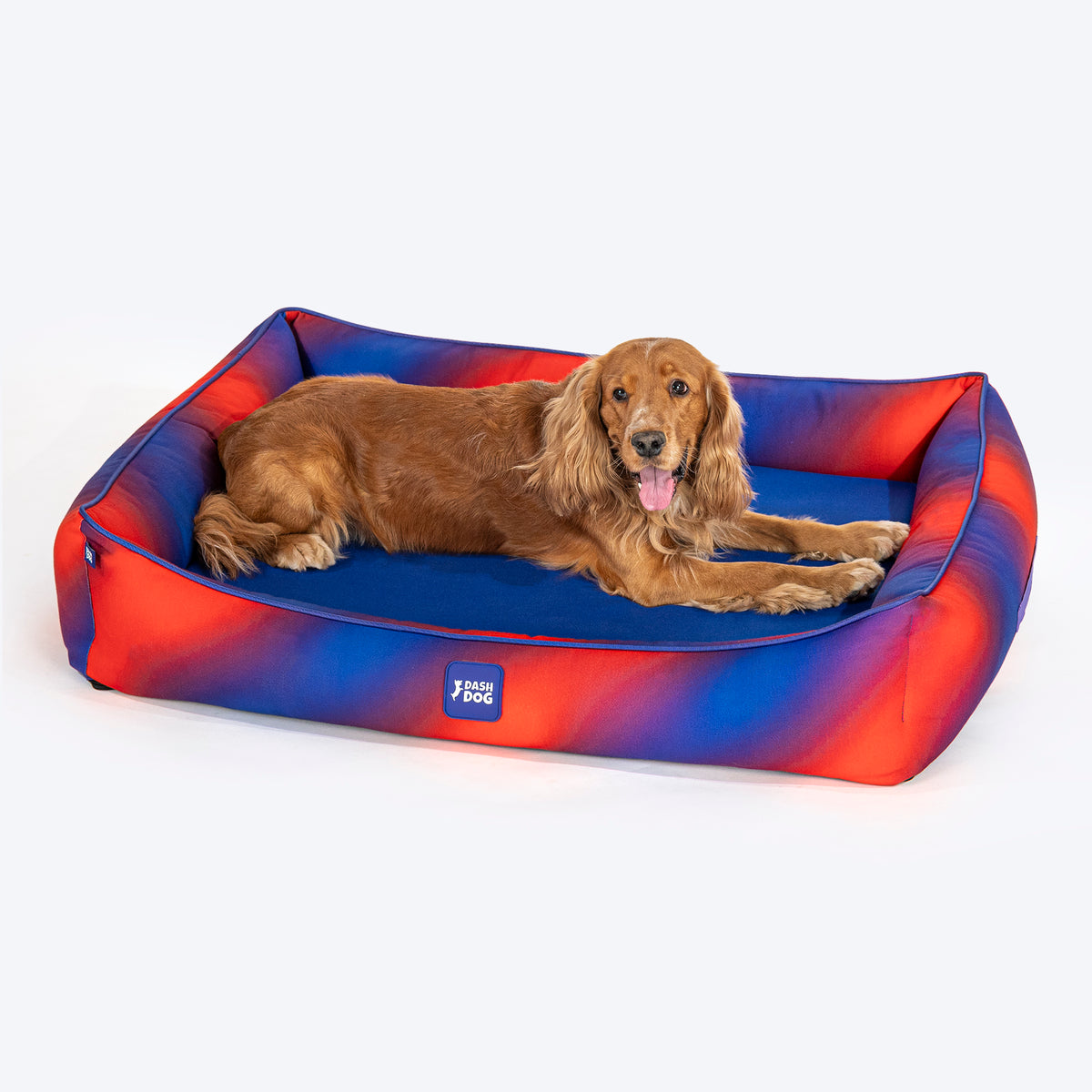 Dash Dog Flow Water Repellent Lounger Dog Bed - Blue & Red - Heads Up For Tails