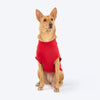 TLC Good Doggie Club T-Shirt For Dog - Red - Heads Up For Tails
