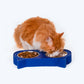 HUFT Cat Face Double Diner For Cats (Blue) - Heads Up For Tails