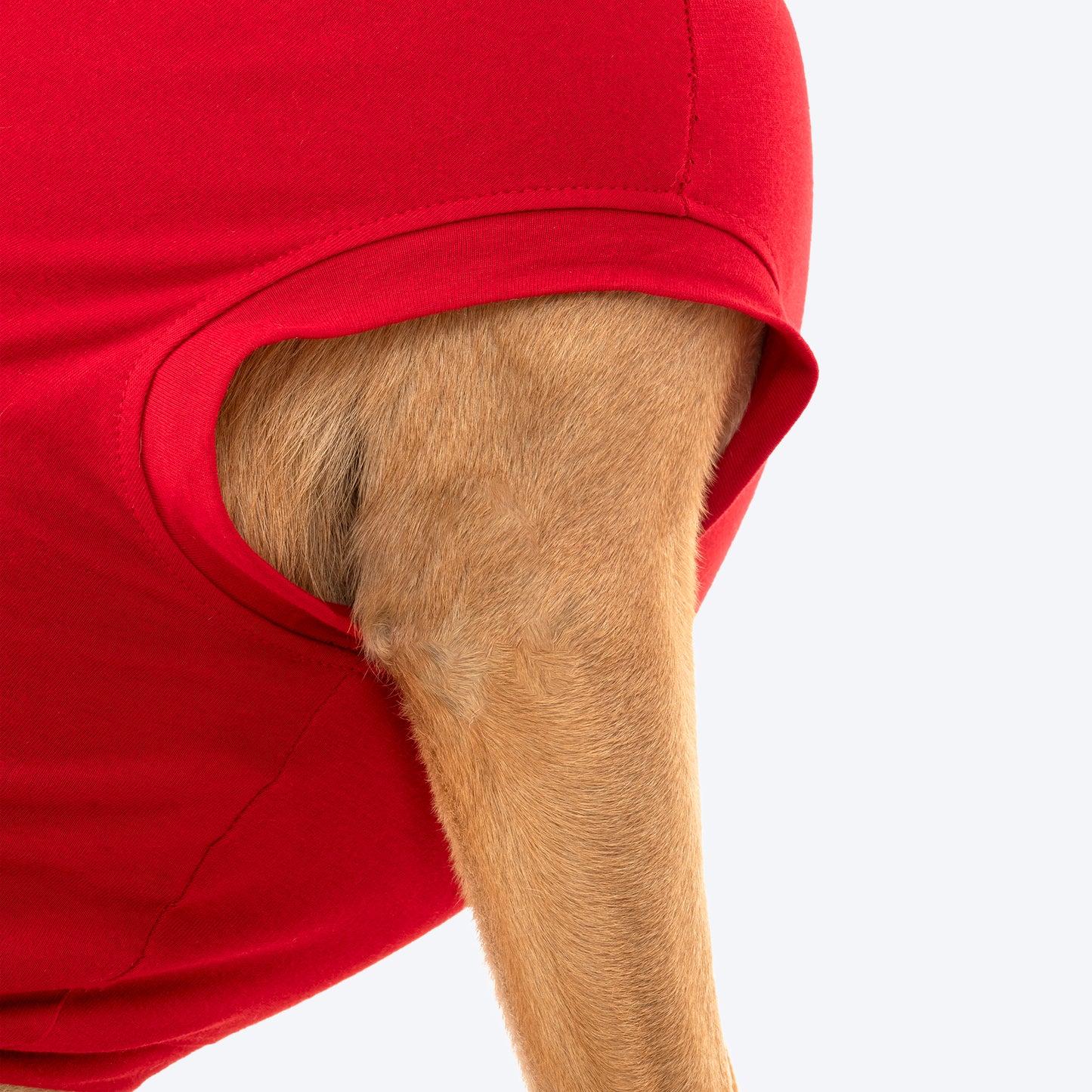 TLC Good Doggie Club T-Shirt For Dog - Red