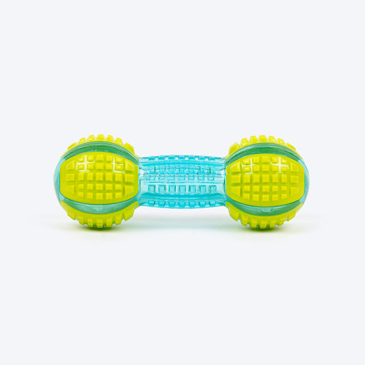 Dash Dog Gnaw & Go Squeaky Toy For Dog - Neon Green & Blue