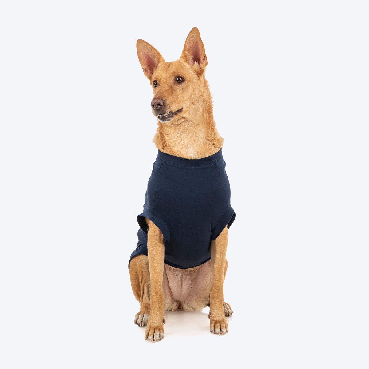TLC Best Buddie T-Shirt For Dog - Navy Blue - Heads Up For Tails