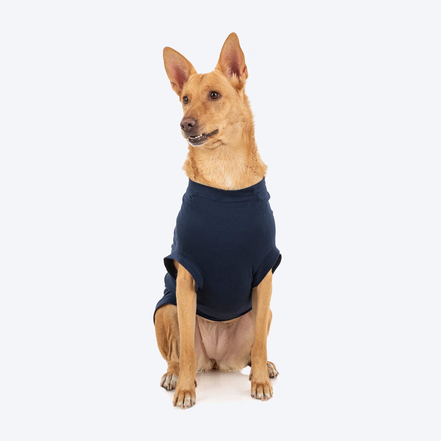 TLC Best Buddie T-Shirt For Dog - Navy Blue