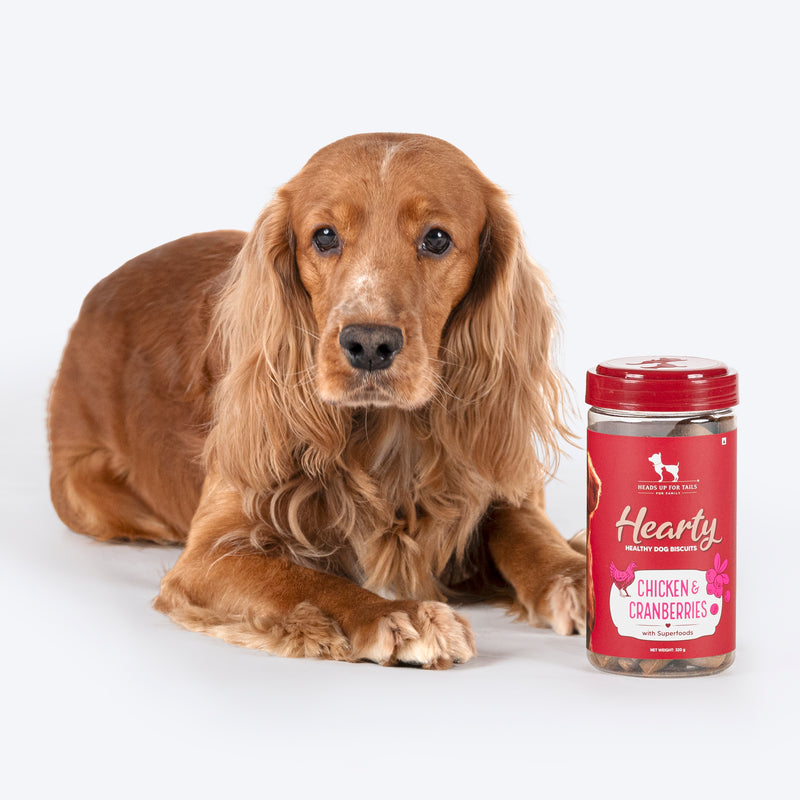 Hearty Chicken & Cranberries Healthy Dog Biscuits by Heads Up For Tails, 320 g, protein-rich and grain-free.