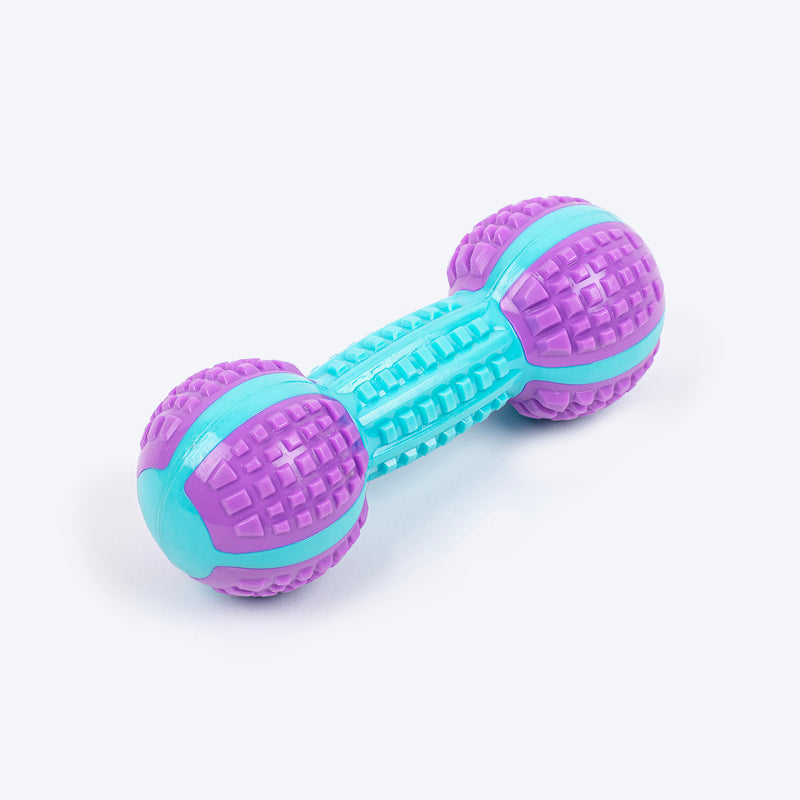 Dash Dog Gnaw & Go Squeaky Toy For Dog - Purple & Blue - Heads Up For Tails