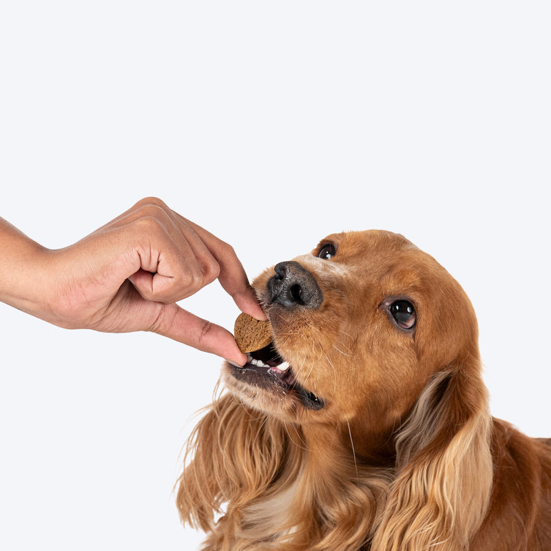 Hearty Chicken & Cheddar Cheese Healthy Dog Biscuits by Heads Up For Tails, 320g, suitable for all breeds.
