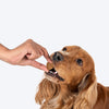 Hearty Chicken & Cranberries Healthy Dog Biscuits by Heads Up For Tails, 320 g, protein-rich and grain-free.