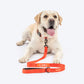 HUFT Personalised Classic Dog Leash - Rust Orange