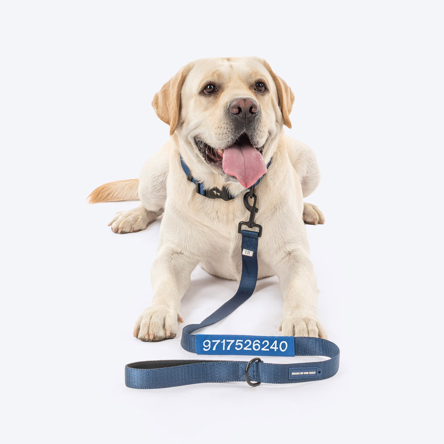 HUFT Personalised Classic Dog Leash - Navy