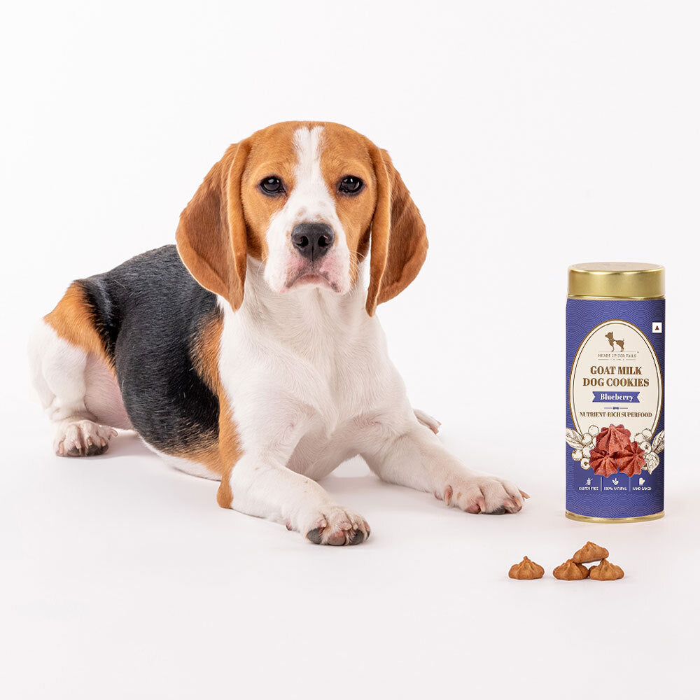 HUFT Goat Milk Dog Cookies Blueberry 200 g