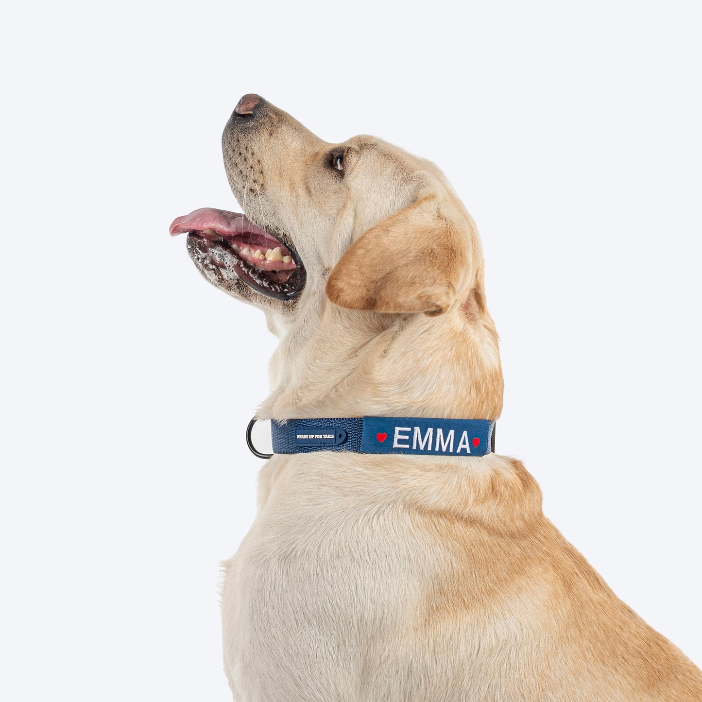 HUFT Personalised Classic Dog Collar - Navy
