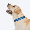 HUFT Personalised Classic (Mobile No.) Dog Collar - Navy - Heads Up For Tails