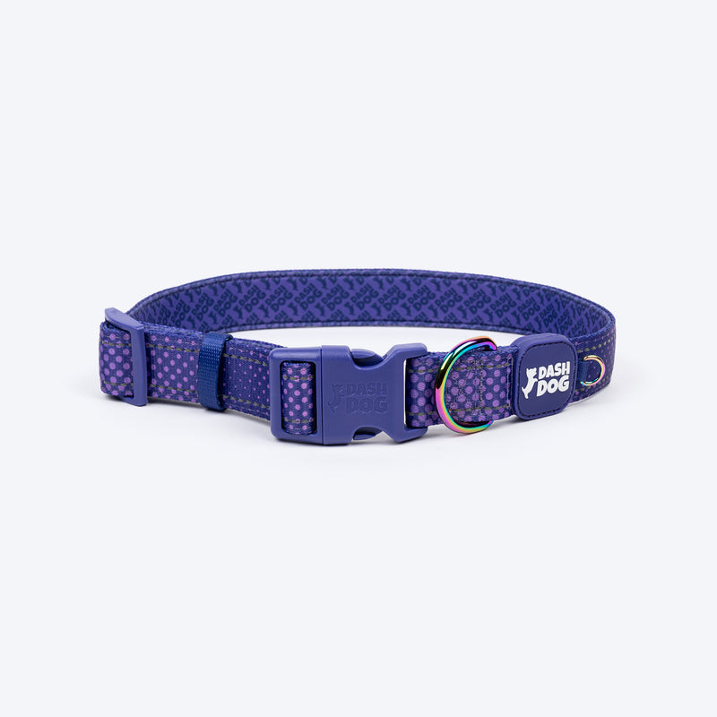 Dash Dog Dotty Padded Collar For Dog - Purple - Heads Up For Tails