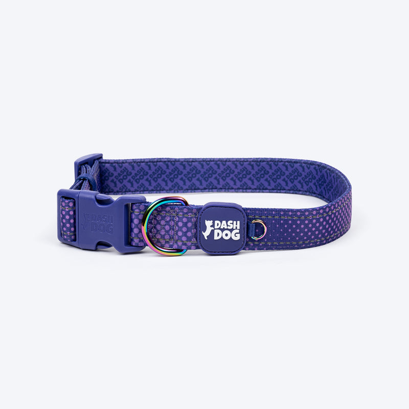 Dash Dog Dotty Padded Collar For Dog - Purple - Heads Up For Tails