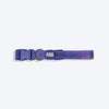 Dash Dog Dotty Padded Collar For Dog - Purple - Heads Up For Tails
