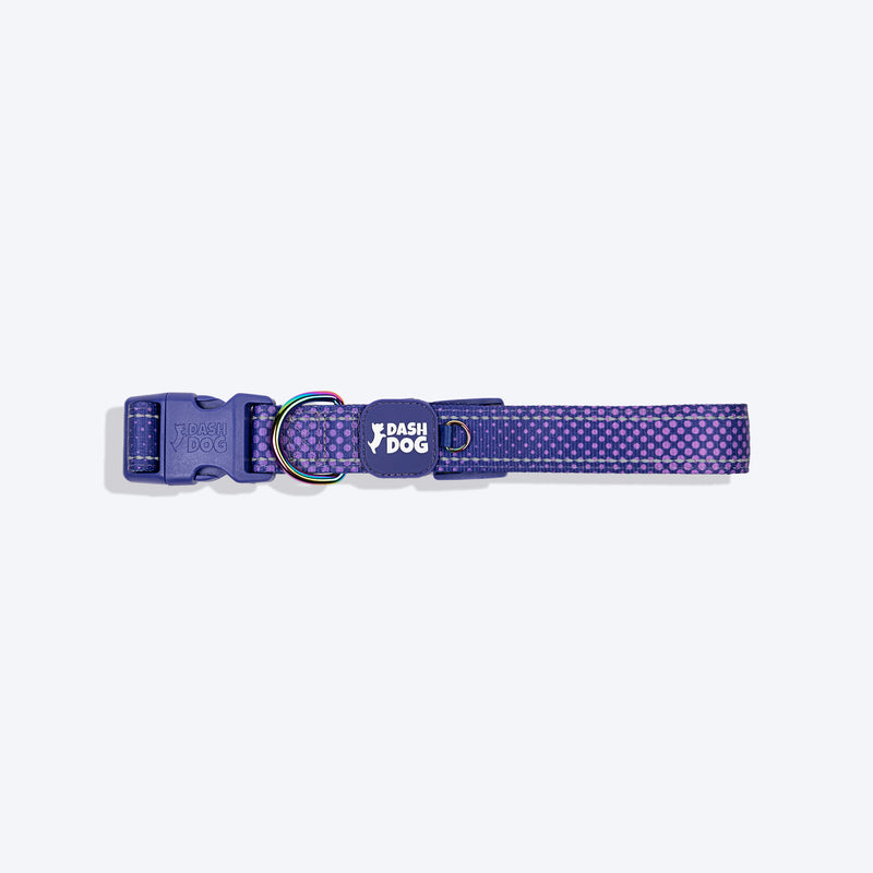 Dash Dog Dotty Padded Collar For Dog - Purple - Heads Up For Tails