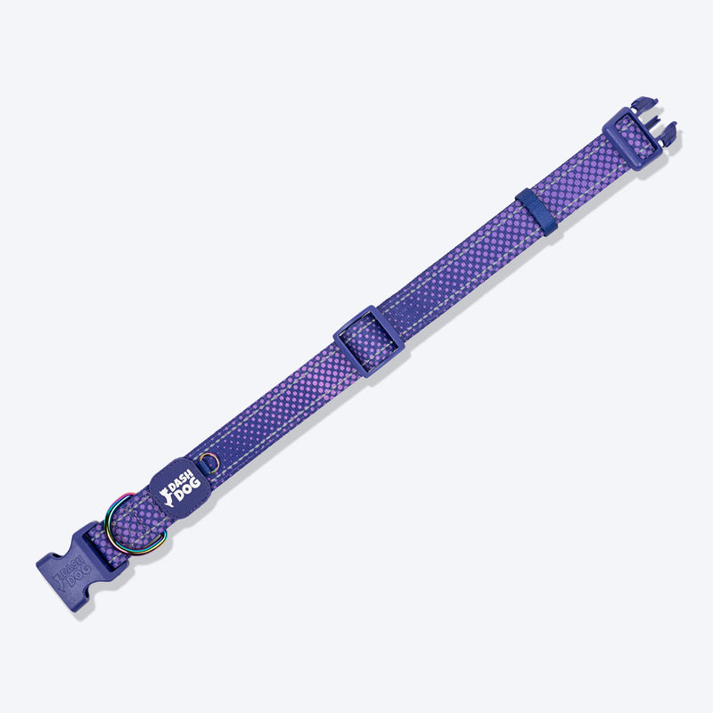 Dash Dog Dotty Padded Collar For Dog - Purple - Heads Up For Tails
