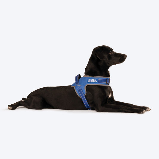 HUFT Personalised Easy On Dog Harness - Blue - Heads Up For Tails