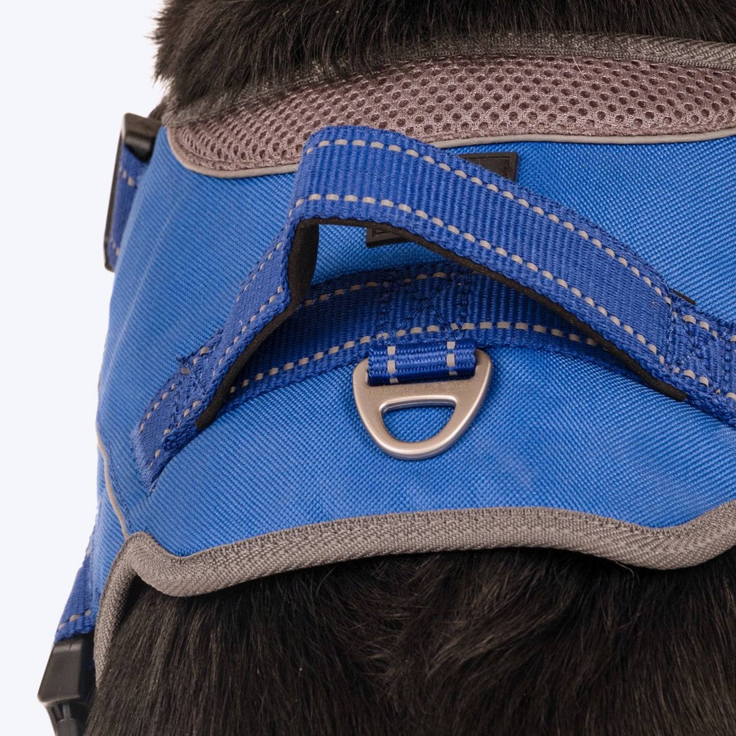 HUFT Easy On Dog Harness - Blue (Can be Personalised) - Heads Up For Tails