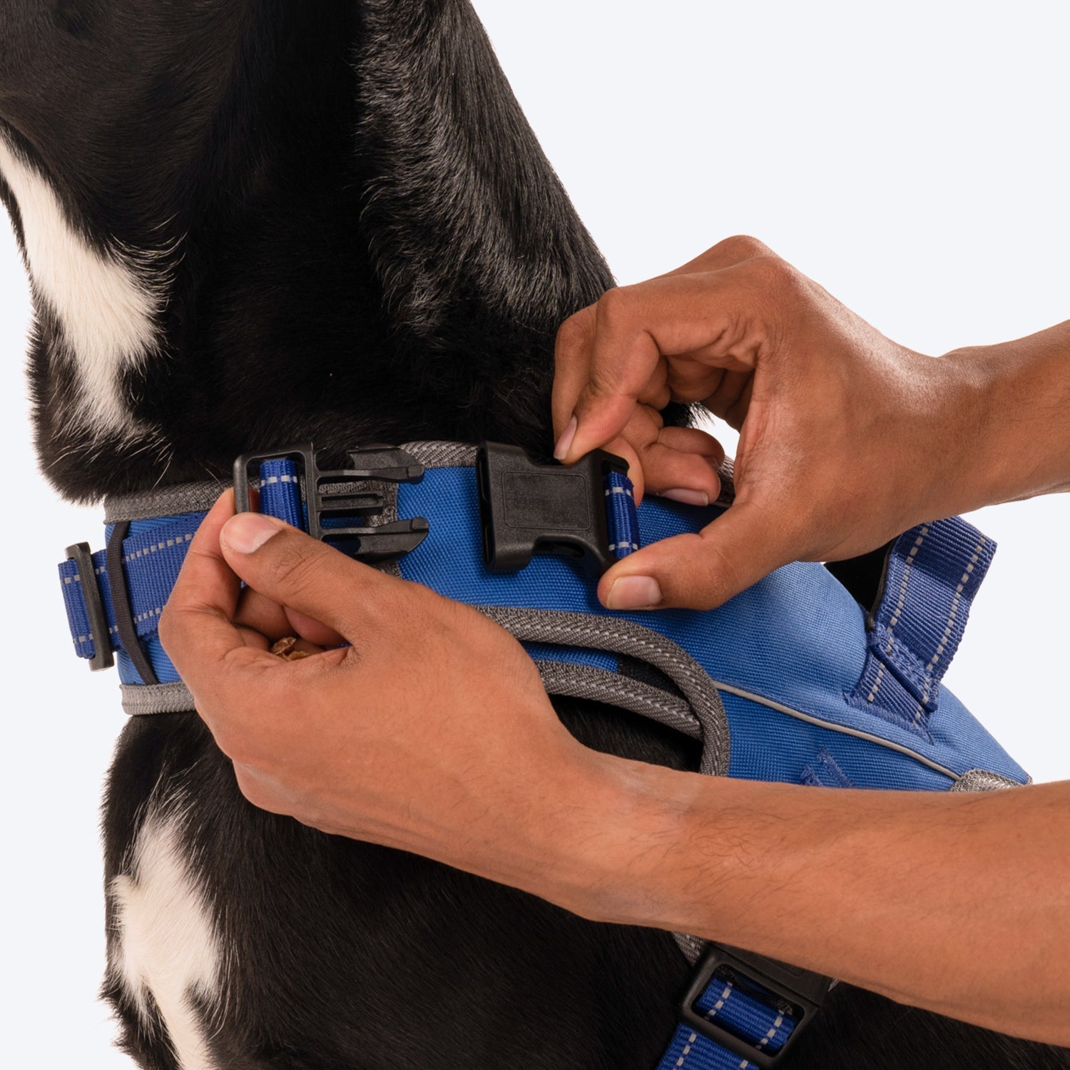 HUFT Easy On Dog Harness - Blue (Can be Personalised) - Heads Up For Tails