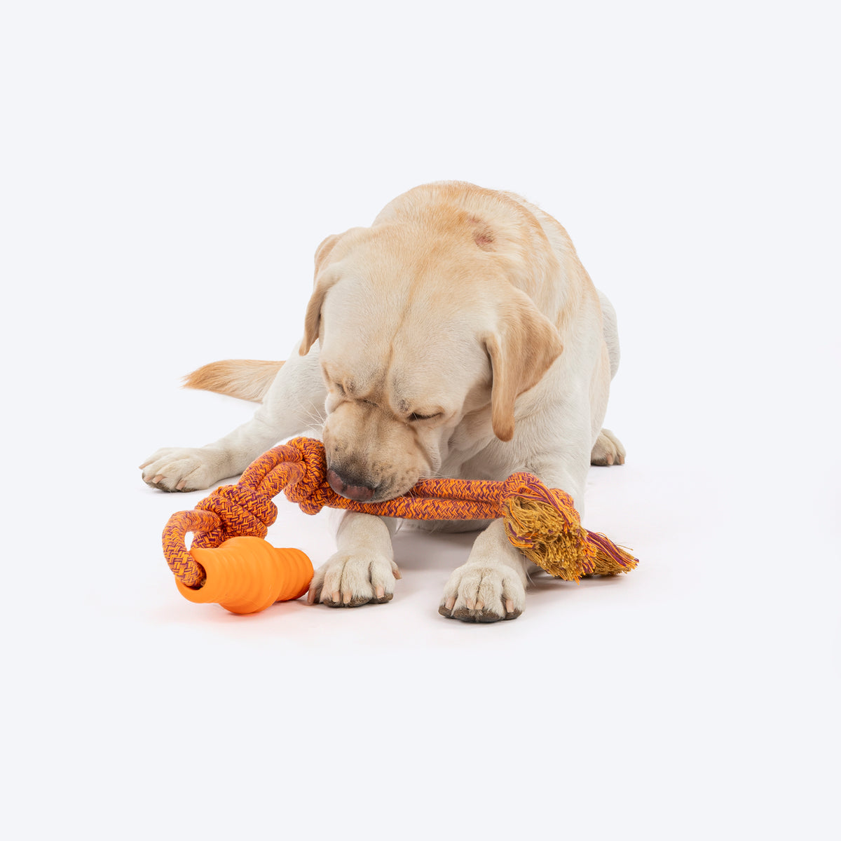 HUFT Tuggables Tassel Tango Rope Toy For Dog - Purple & Orange - Heads Up For Tails