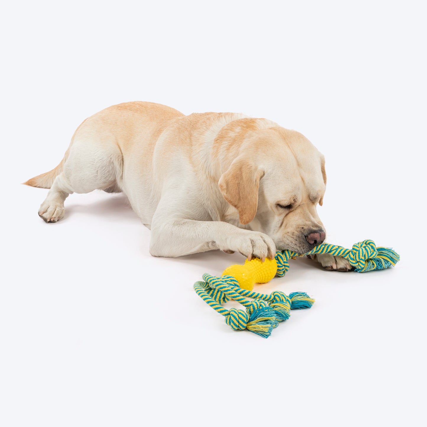 HUFT Tuggables Silly Strings Rope Toy For Dog - Blue & Yellow