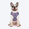 Dash Dog Pixel Easy Walk Harness For Dog - Purple - Heads Up For Tails