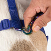 Dash Dog Pixel Easy Walk Harness For Dog - Purple - Heads Up For Tails