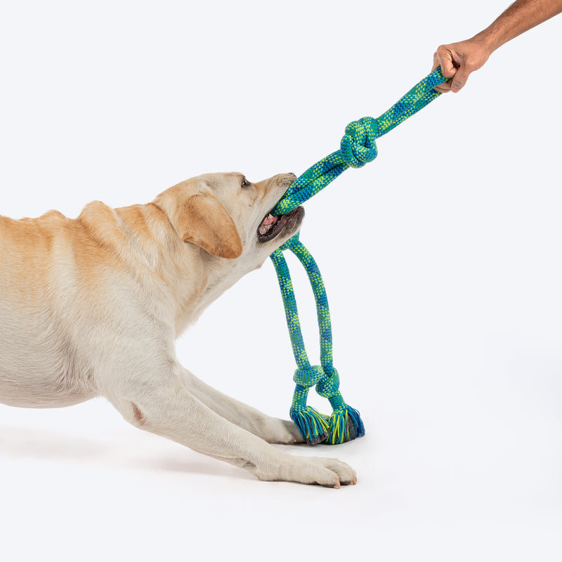 HUFT Tuggables Mighty Knots Rope Toy For Dog - Blue & Green - Heads Up For Tails