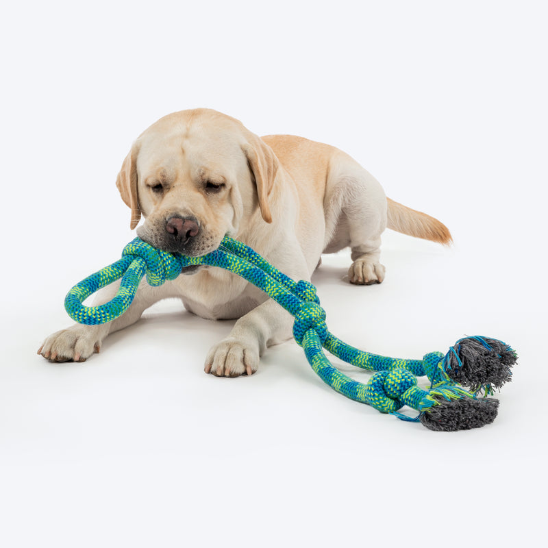 HUFT Tuggables Mighty Knots Rope Toy For Dog - Blue & Green - Heads Up For Tails