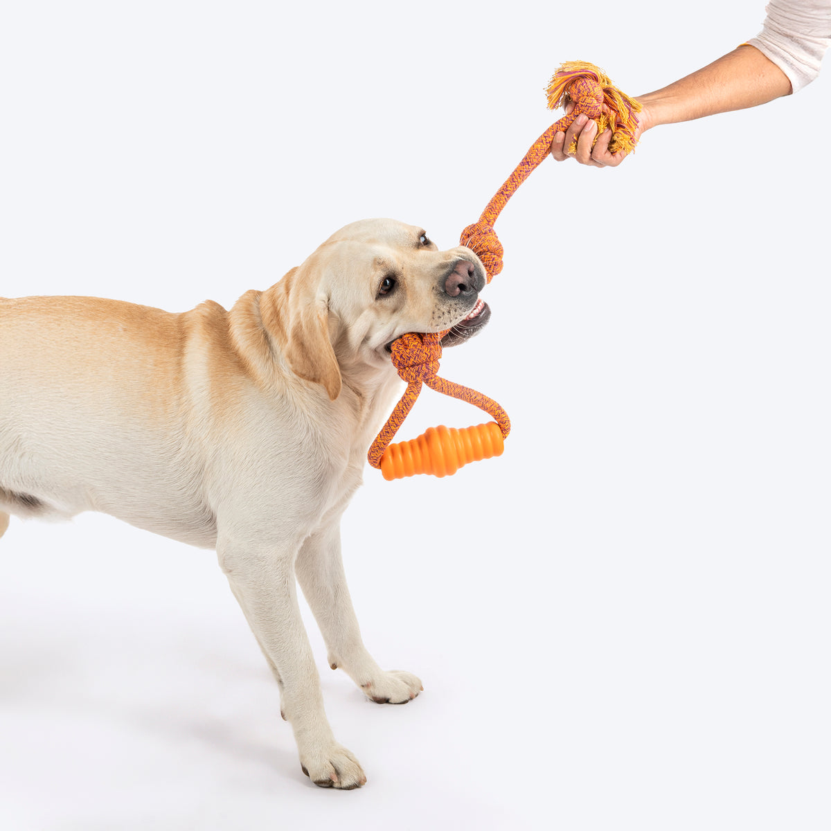 HUFT Tuggables Tassel Tango Rope Toy For Dog - Purple & Orange - Heads Up For Tails