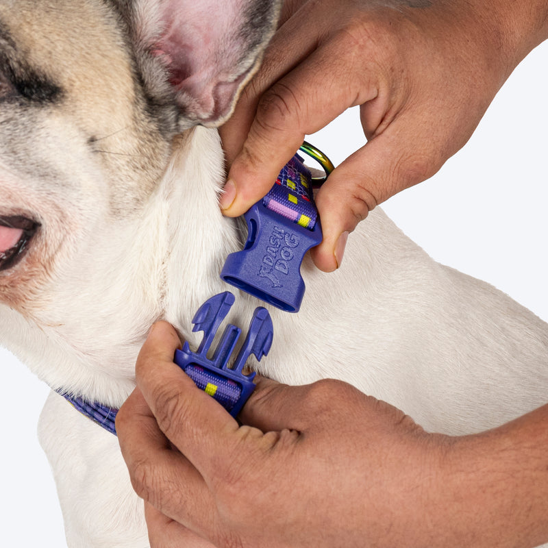 Dash Dog Pixel Padded Collar For Dog - Purple - Heads Up For Tails