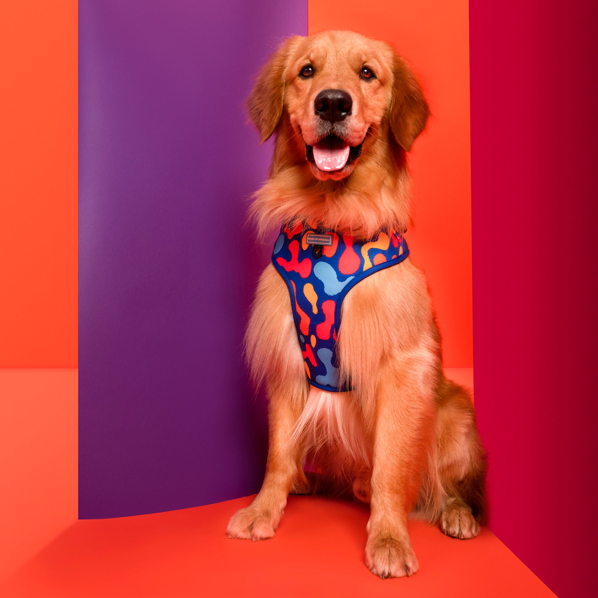 HUFT Colour Craze Dog Adjustable Harness_02