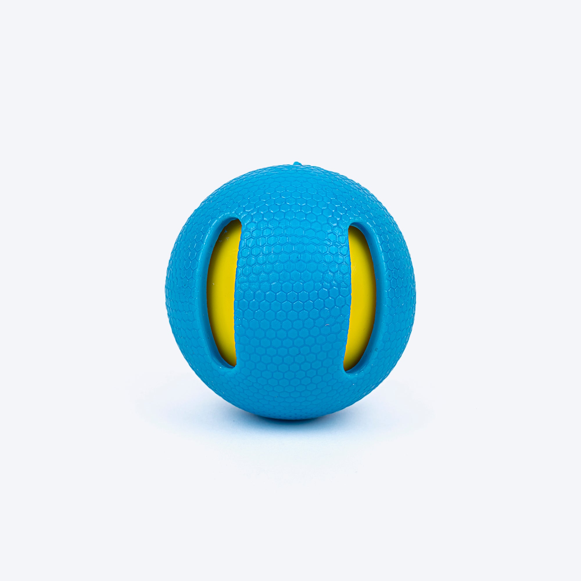 Dog toy best sale ball with holes