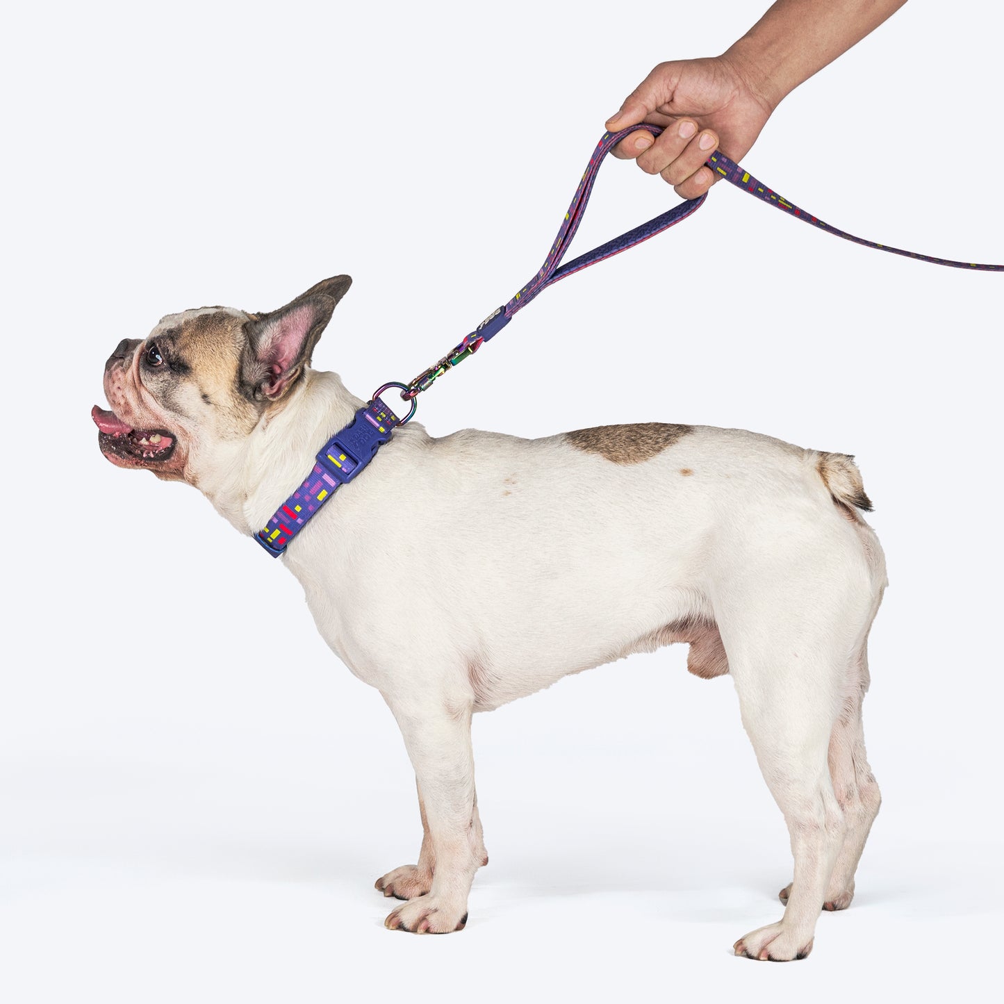 Dash Dog Pixel Dual Handle Leash For Dog - Purple