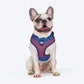 Dash Dog Chevron Easy Walk Harness For Dog - Purple