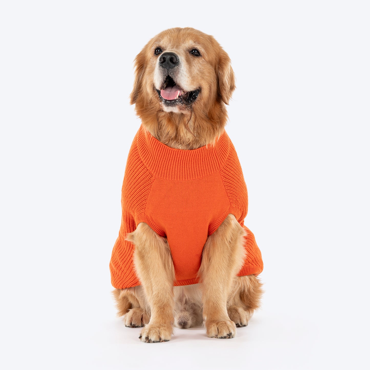 HUFT Winter Spice Sweater For Dog - Orange - Heads Up For Tails