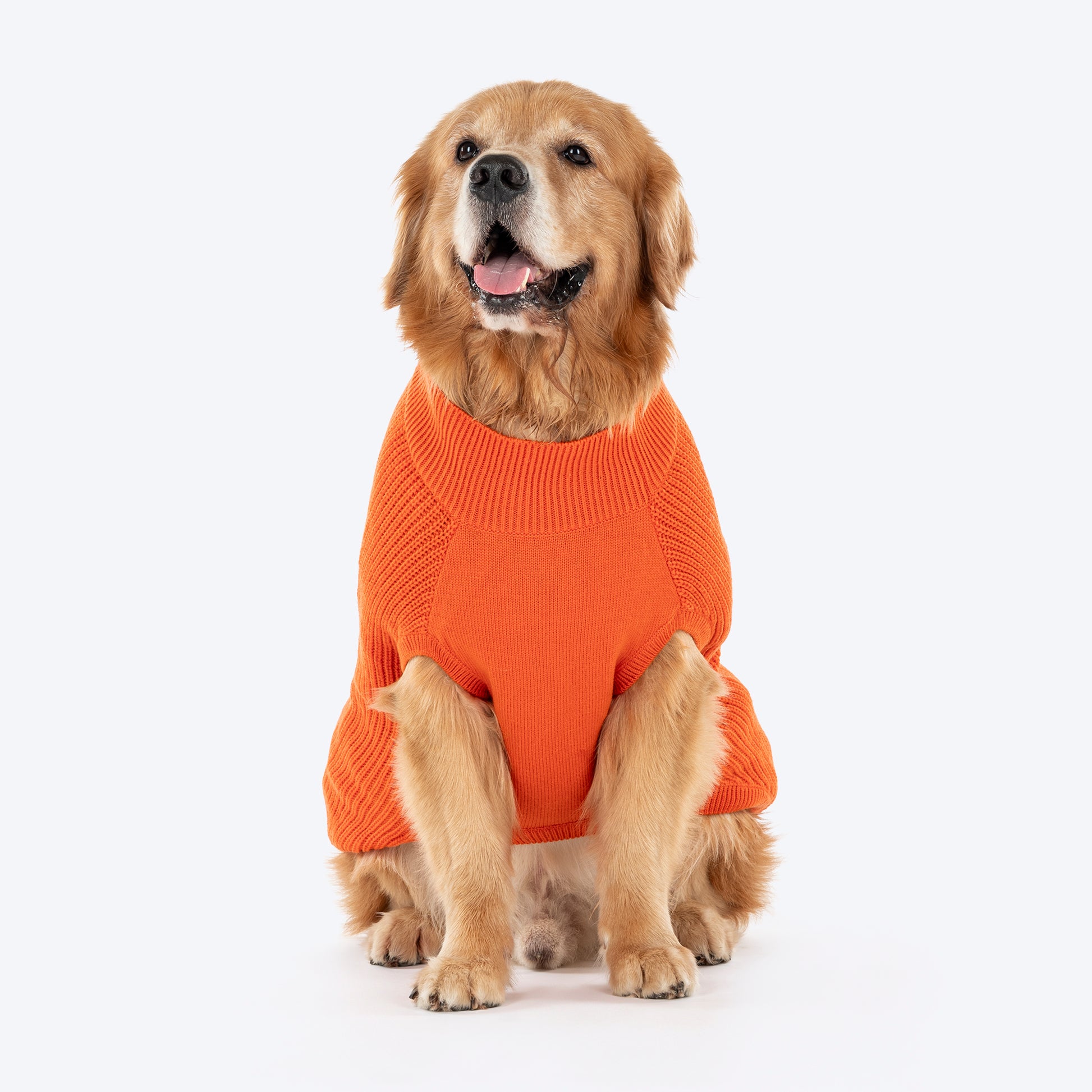 HUFT Winter Spice Sweater For Dog - Orange - Heads Up For Tails