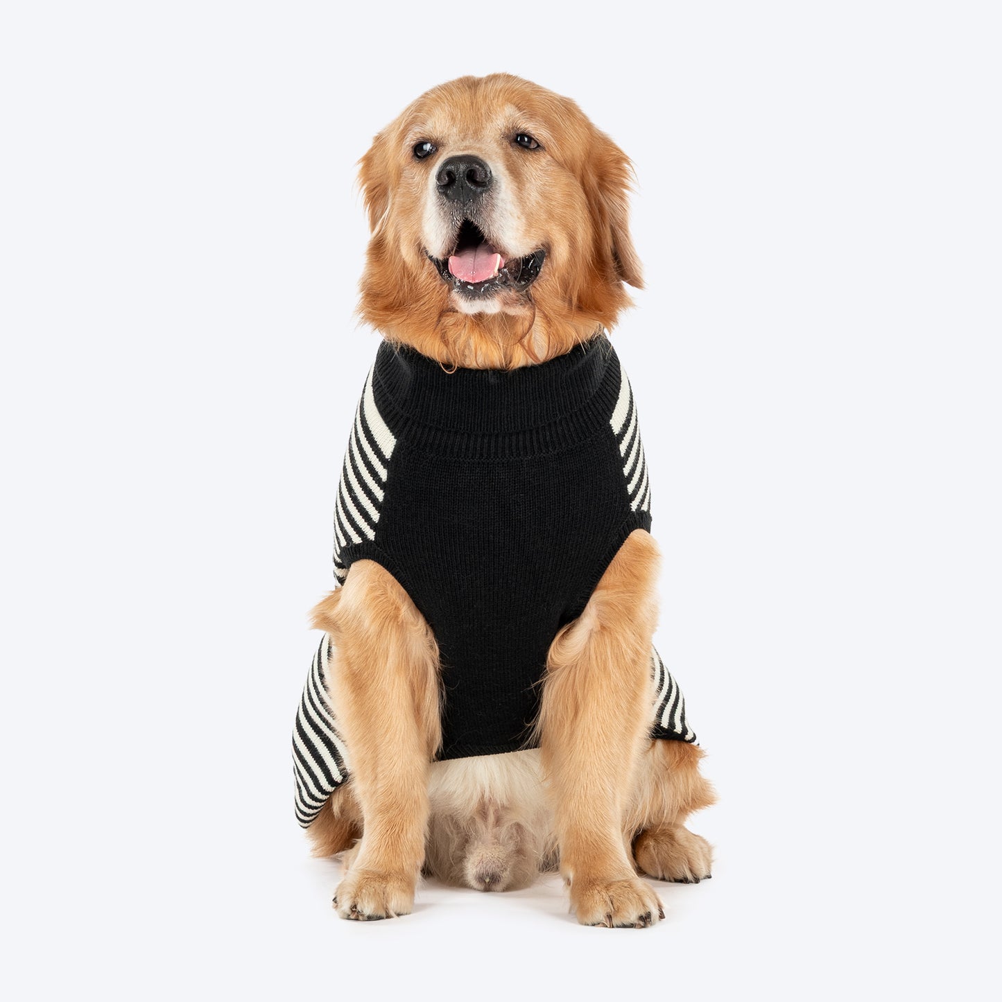 HUFT Sweetheart Stripe Sweater For Dog - Black & White