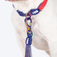 Dash Dog Flow Dual Handle Leash For Dog - Red & Purple