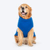 HUFT Reindeer Cheer Sweater For Dog - Blue - Heads Up For Tails