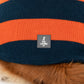 TLC Pumpkin Patch Sweater For Dog - Orange & Navy Blue