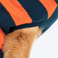 TLC Pumpkin Patch Sweater For Dog - Orange & Navy Blue