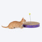 HUFT Wiggly Whisker Cat Scratcher - Purple - Heads Up For Tails