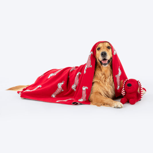 HUFT Stripes & Snouts Blanket With Cushion For Dog - Red