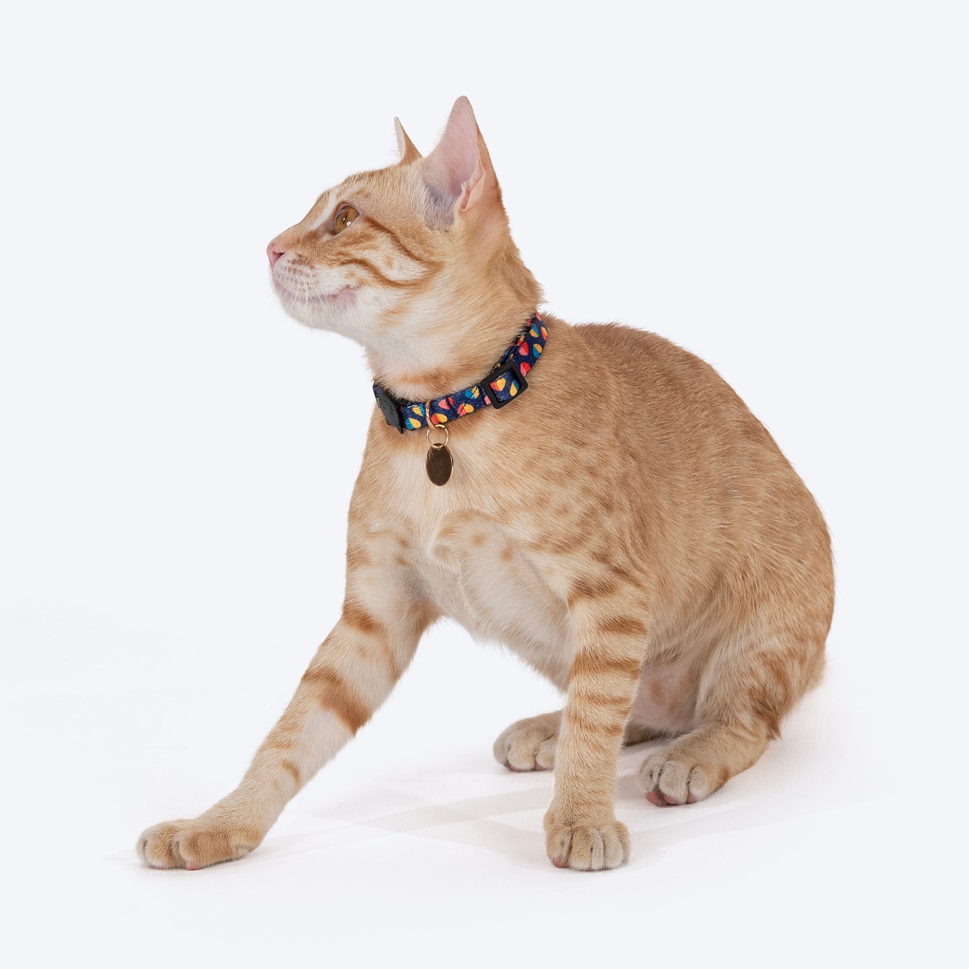 HUFT Meowvelous Cat Collar - Multicolour - Heads Up For Tails